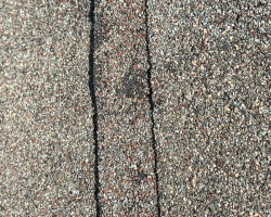 43